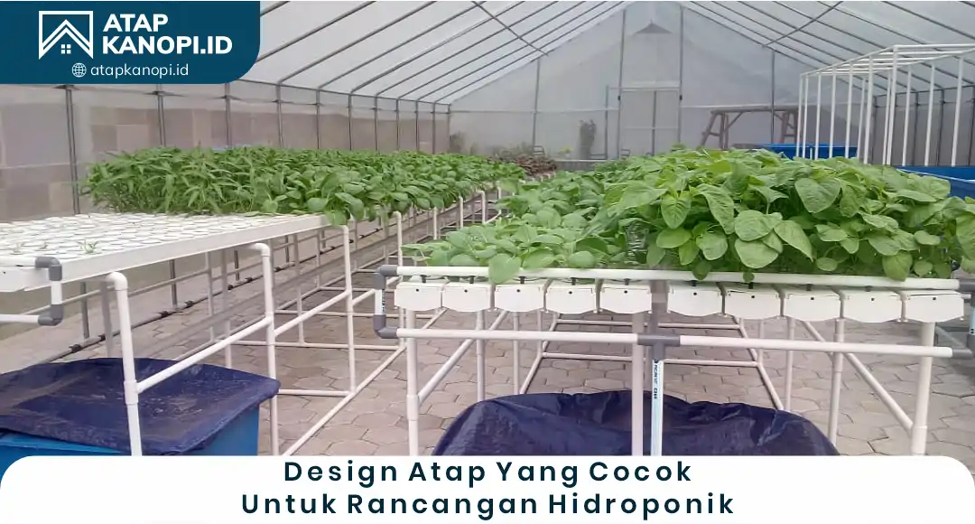 Design Atap yang Cocok untuk Rancangan Hidroponik