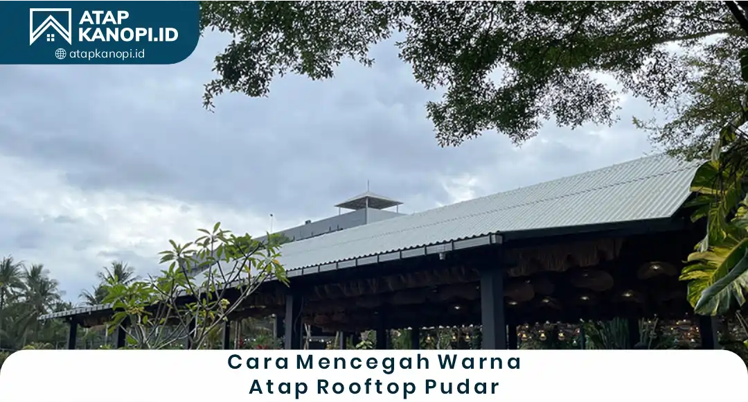 Cara Mencegah Warna Atap Rooftop Cepat Pudar