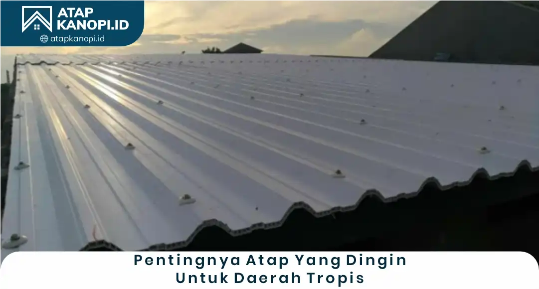 Pentingnya Atap yang Dingin untuk Daerah Tropis
