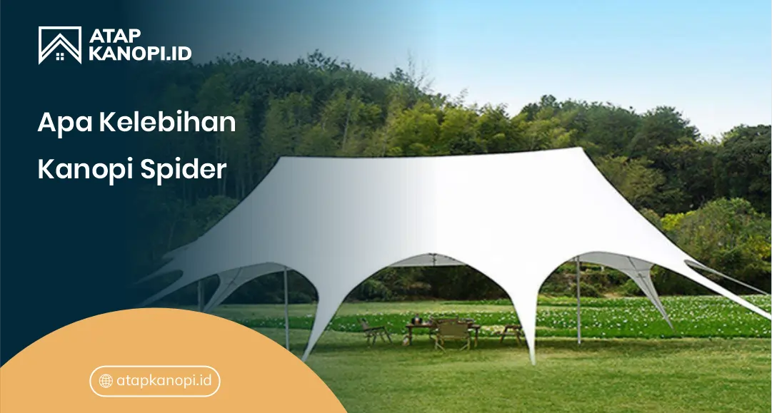 Apa Kelebihan Kanopi Spider