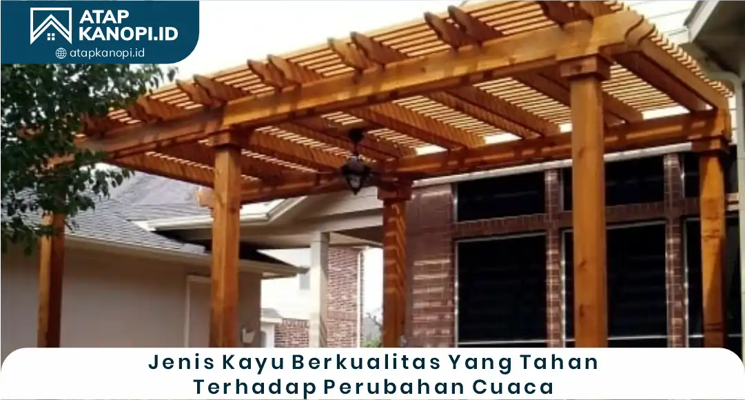03 Jenis Kayu Berkualitas yang Tahan terhadap Perubahan Cuaca