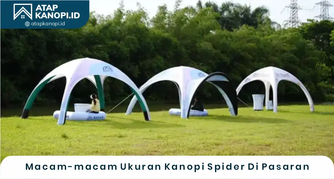 03 Macam-macam Ukuran Kanopi Spider Di Pasaran
