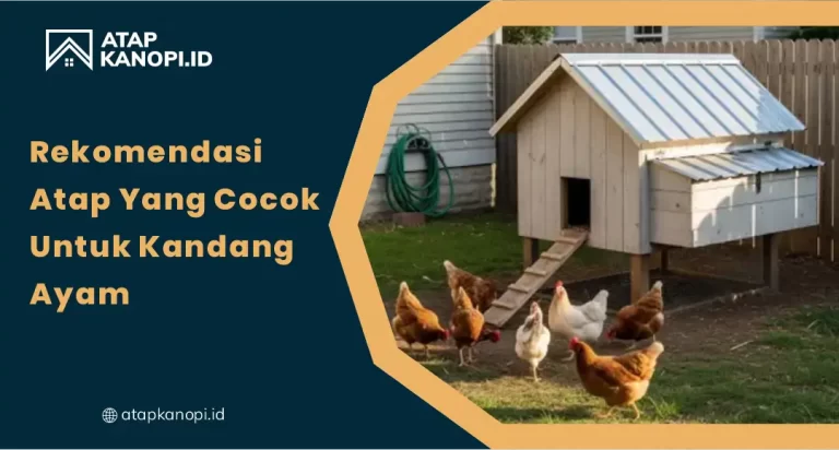 Rekomendasi Atap yang Cocok untuk Kandang Ayam